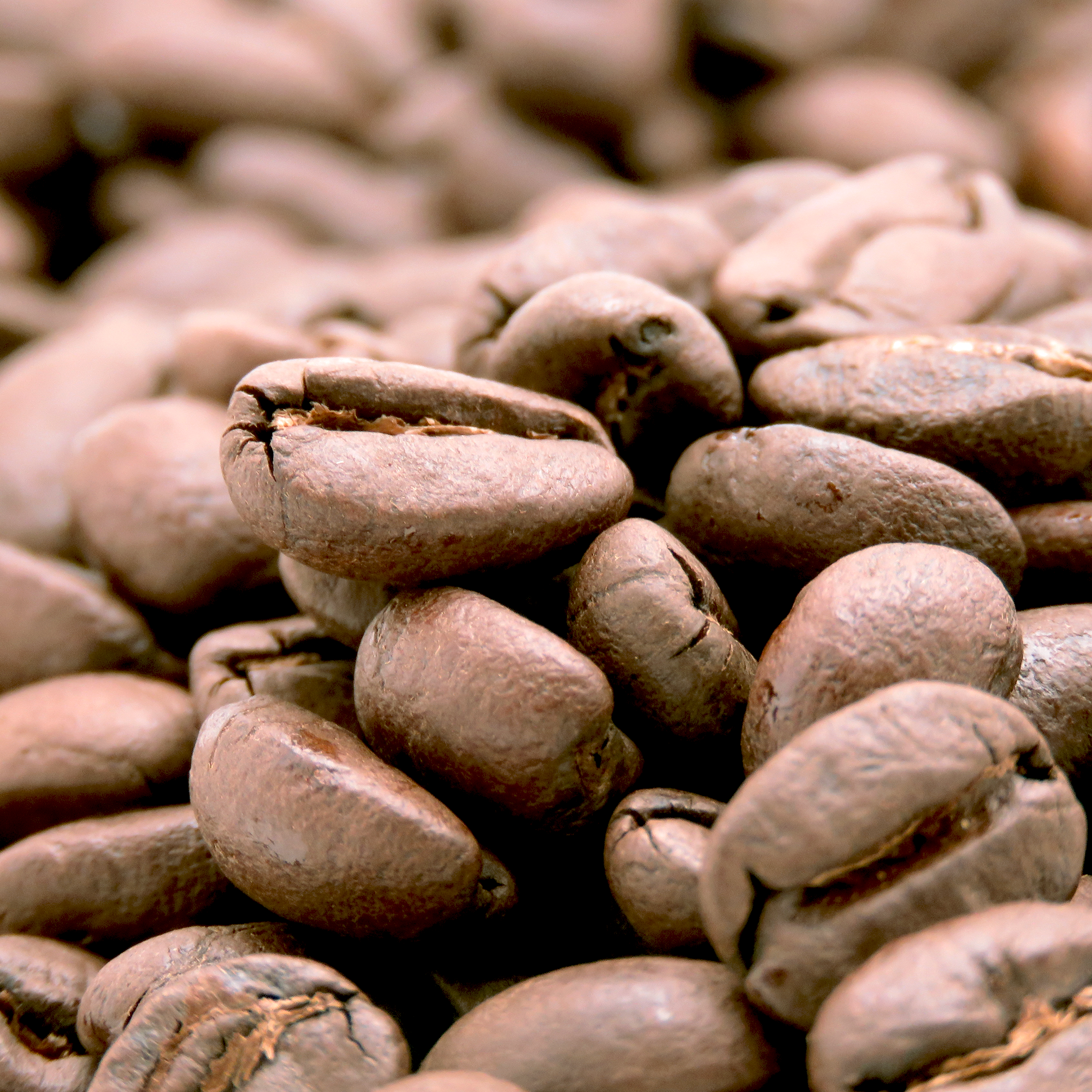 Peru APROCASSI - Image 3