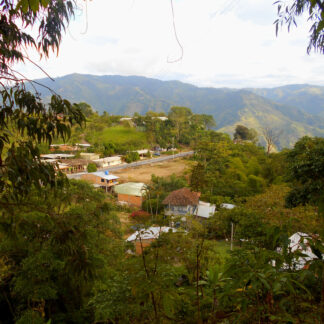 Colombia Huila Acevedo