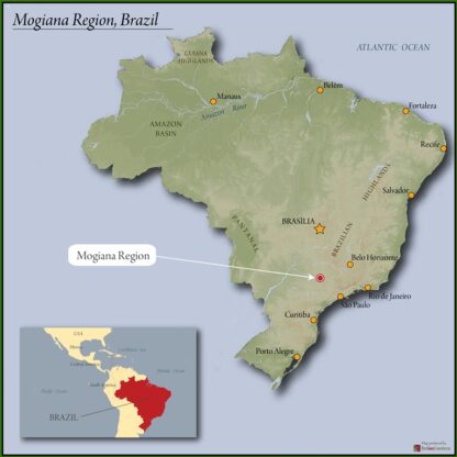 205. Brazil - Mogiana Region