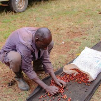 Kenya26