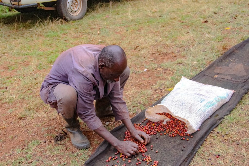 Kenya26